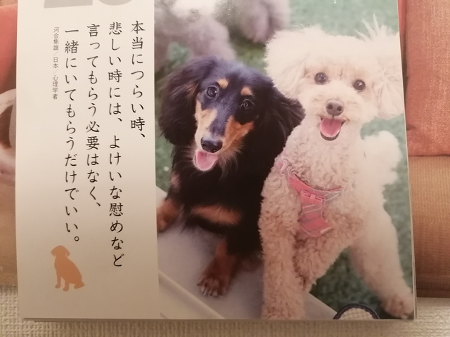 写メ画像 写メ画像