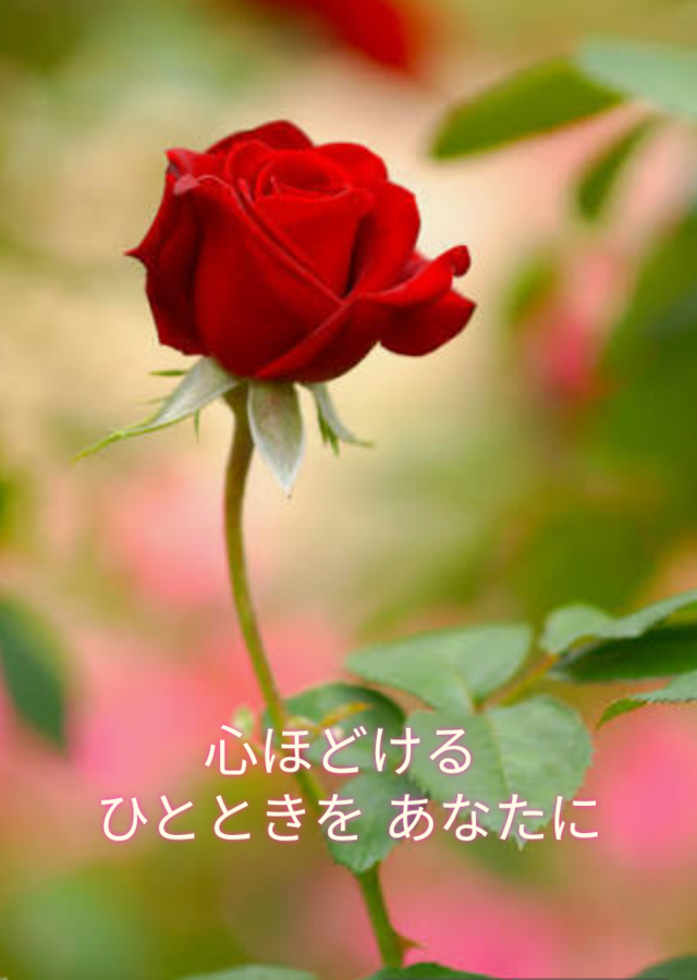 写メ画像 写メ画像