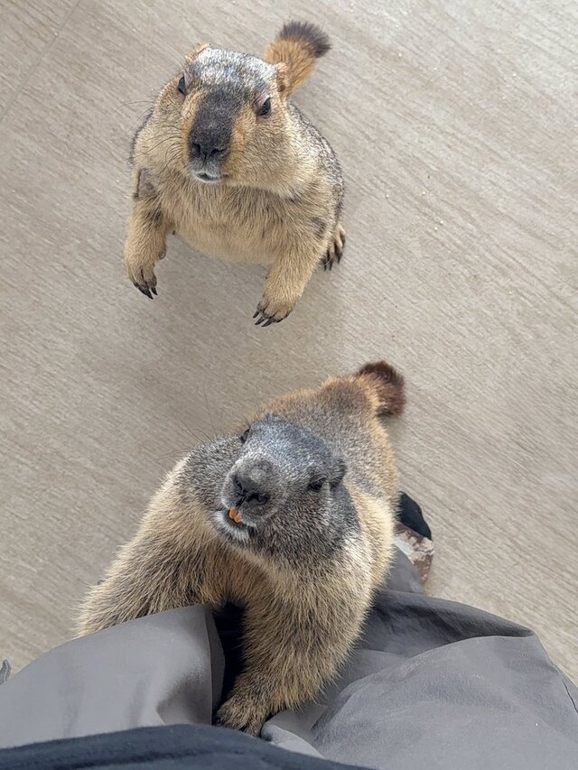 写メ画像 写メ画像