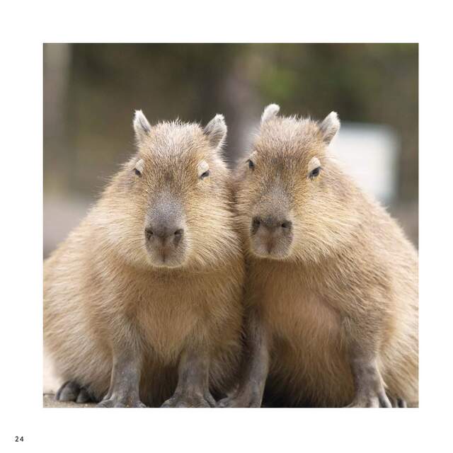 写メ画像 写メ画像