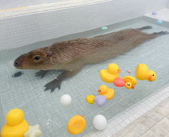 写メ画像 写メ画像