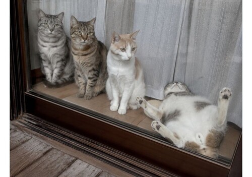 写メ画像 写メ画像