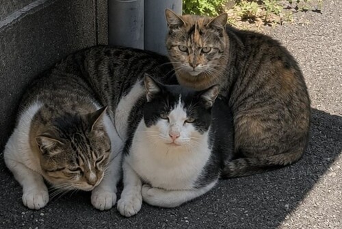 写メ画像 写メ画像